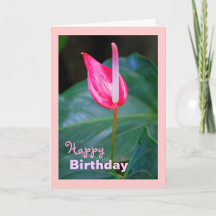 Maui Tropical Red Anthurium, Birthday Card