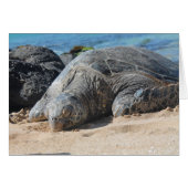 Maui Turtle Cards (Front Horizontal)