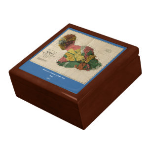 Maui - Vintage Antiquarian Hawaii Survey Map, 1885 Keepsake Box