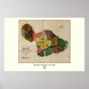 Maui - Vintage Antiquarian Hawaii Survey Map, 1885 Poster
