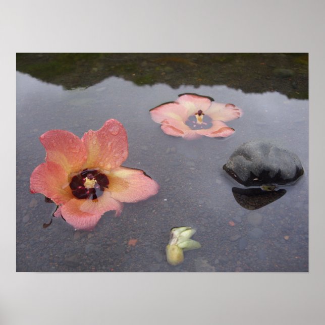 Maui Zen Poster (Front)