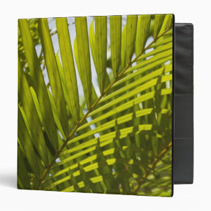Mauritius, Central Mauritius, Moka, palm 2 3 Ring Binder