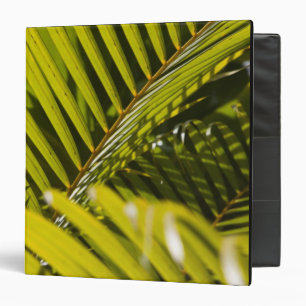 Mauritius, Central Mauritius, Moka, palm Binder