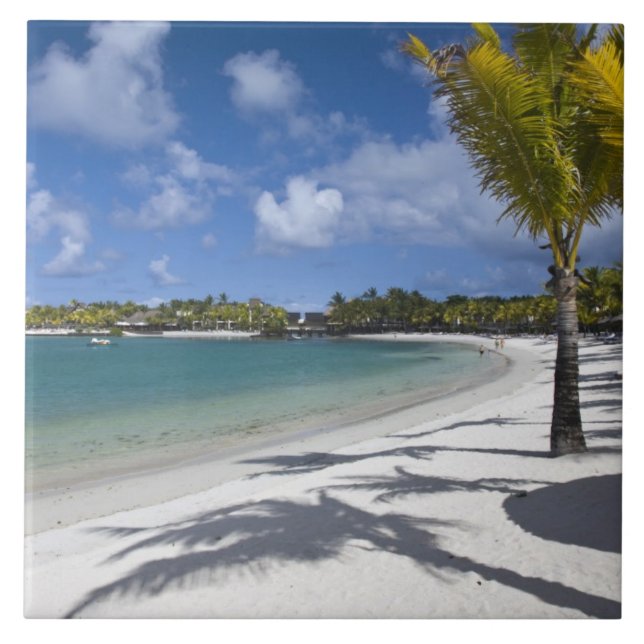 Mauritius, Eastern Mauritius, Trou d' Eau Douce, Tile (Front)