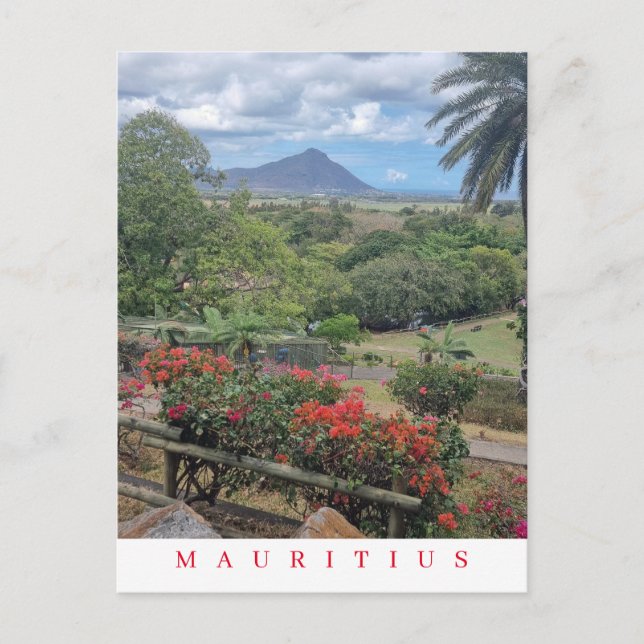 Mauritius panoramic view postcard (Front)