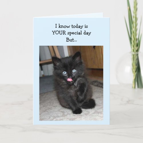 Mauser Kitten Happy Birthday Card