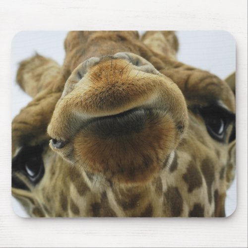 Mauspad Giraffe Kuss Mouse Pad
