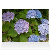 Mauve Hydrangea Cards (Inside Horizontal (Top))