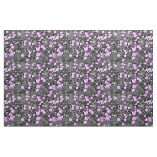 Mauve Michaelmas Daisies Fabric