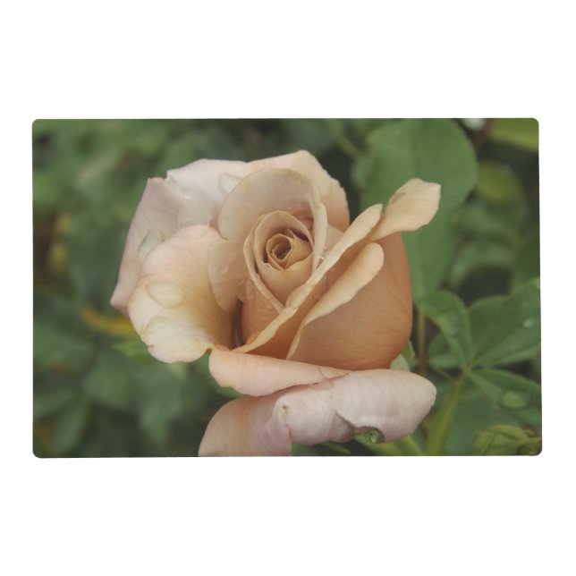 Mauve Rose Laminated Placemat (Front)
