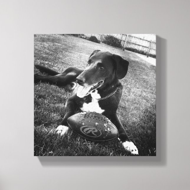 maverick canvas print (Front)