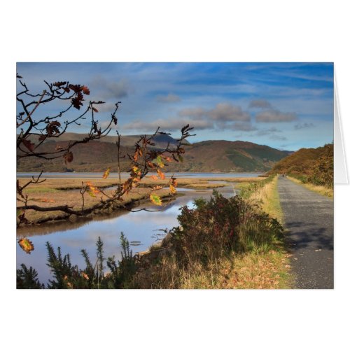 Mawddach Estuary