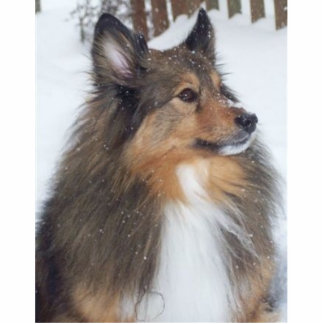 Max_1997_-_2009 Cutout