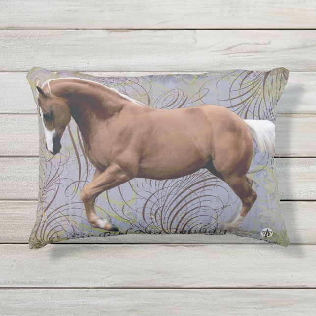 Max outdoor Pillow! Pillow (Front)