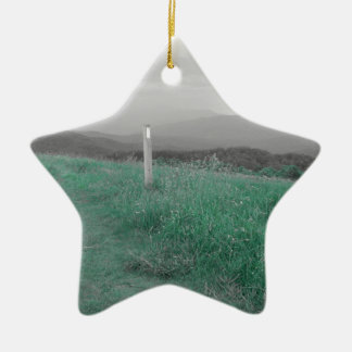 Max Patch Ceramic Ornament
