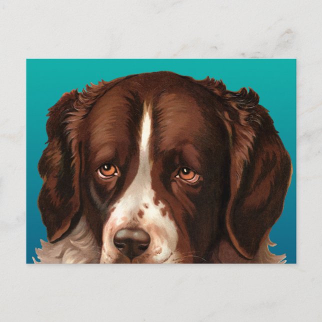 Max the Big Dog Postcard (Front)