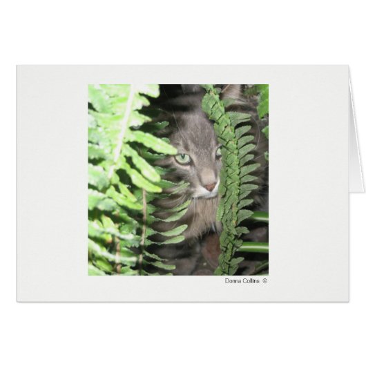 Max the Cat #2 Cards (Front Horizontal)