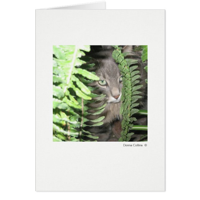 Max the Cat #6 Cards (Front)