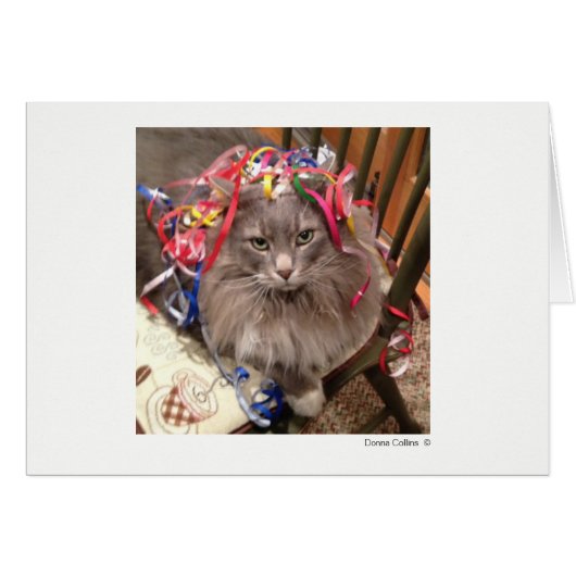 Max the Cat   #-7 Cards (Front Horizontal)