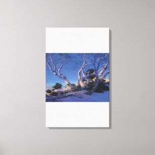 Maxfield Parrish - Birches in Winter Canvas Print