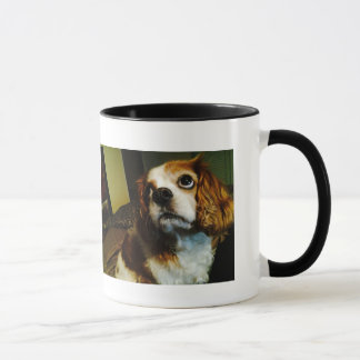 Maxi Moo Cavalier Cup