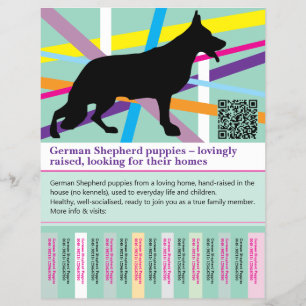 Maximal Shepherd Dog personalized Flyer