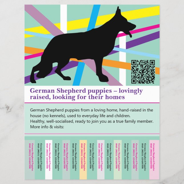 Maximal Shepherd Dog personalized Flyer (Front)