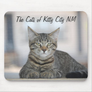 Maximiano 1, The Cats of Kitty City NM Mouse Pad