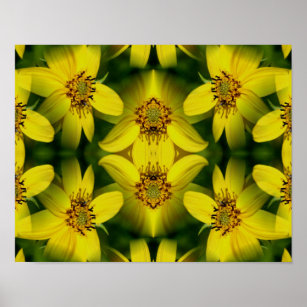 Maximillian Sunflower Abstract         Poster