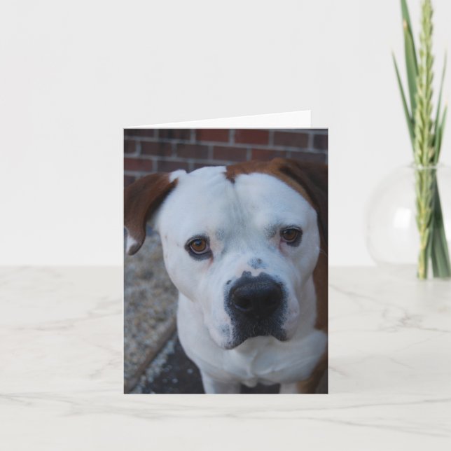 Maximus the note card (Front)