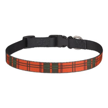 Maxwell Clan Plaid Scottish Tartan Pet Collar by TheTartanShop at Zazzle