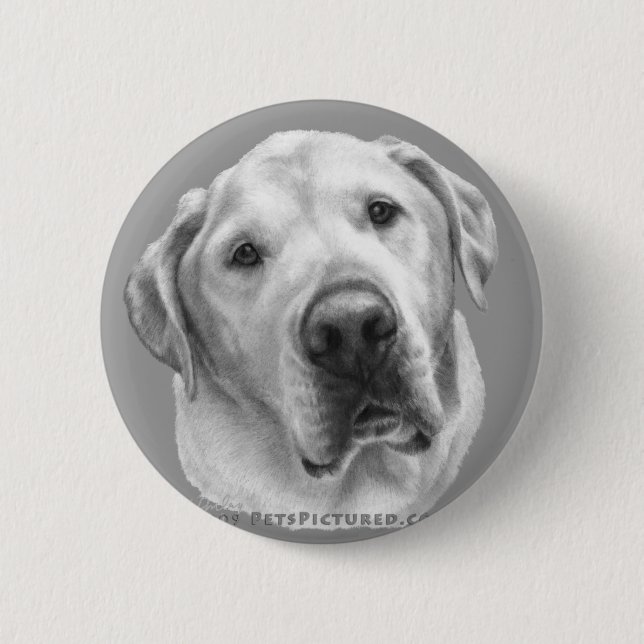 Maxwell, Lab-Pitbull Mix Button (Front)
