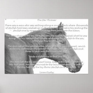 Maxx Starfish Poster