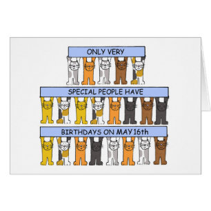 May 16th Birthday Cartoon Cats Cards
