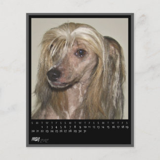 may 2012 calendar