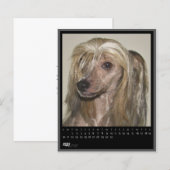 may 2012 calendar (Front/Back)