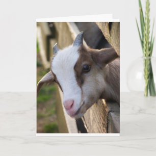 MAY BE A "KID" BUT I CAN SAY **MERRY CHRISTMAS** CARD