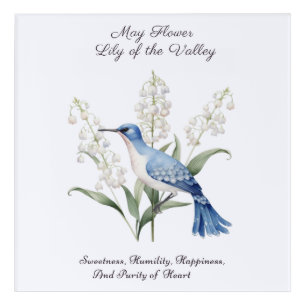 May Birth Month Flower Lily of the Valley Birthday Acrylic Print