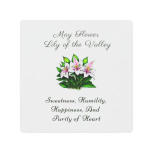 May Birth Month Flower Lily of the Valley Floral Metal Print