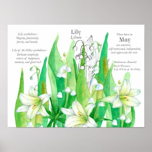 May Birthday Lily of the Valley Flowers Green Poster