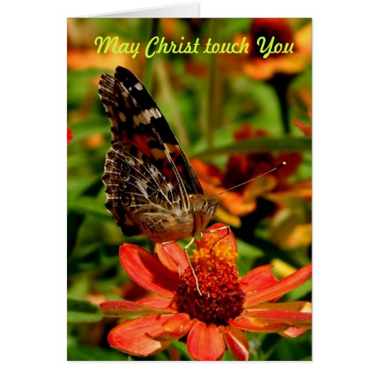 May Christ Touch You Cards (Front)