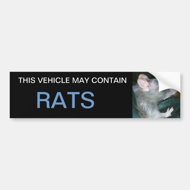 may contain rats bumper sticker (Front)