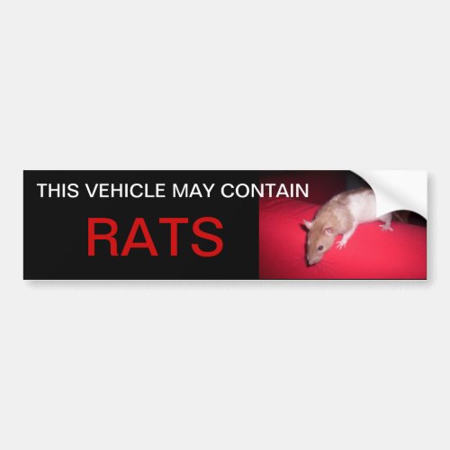 may contain rats bumper sticker