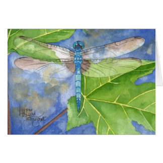 May Dragonfly Cards