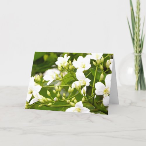 May Flower Flora All_Occasion Greetings Card