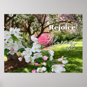 May Flowers Pink Rejoice Always Poster