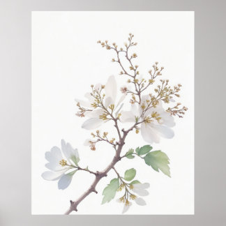 May Hawthorn Birth Flower Poster