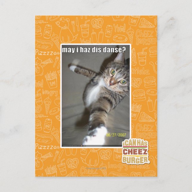 may I haz dis dance? Postcard (Front)