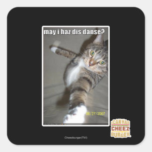 may I haz dis dance? Square Sticker