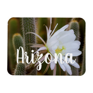 May in the garden, Arizona Magnet